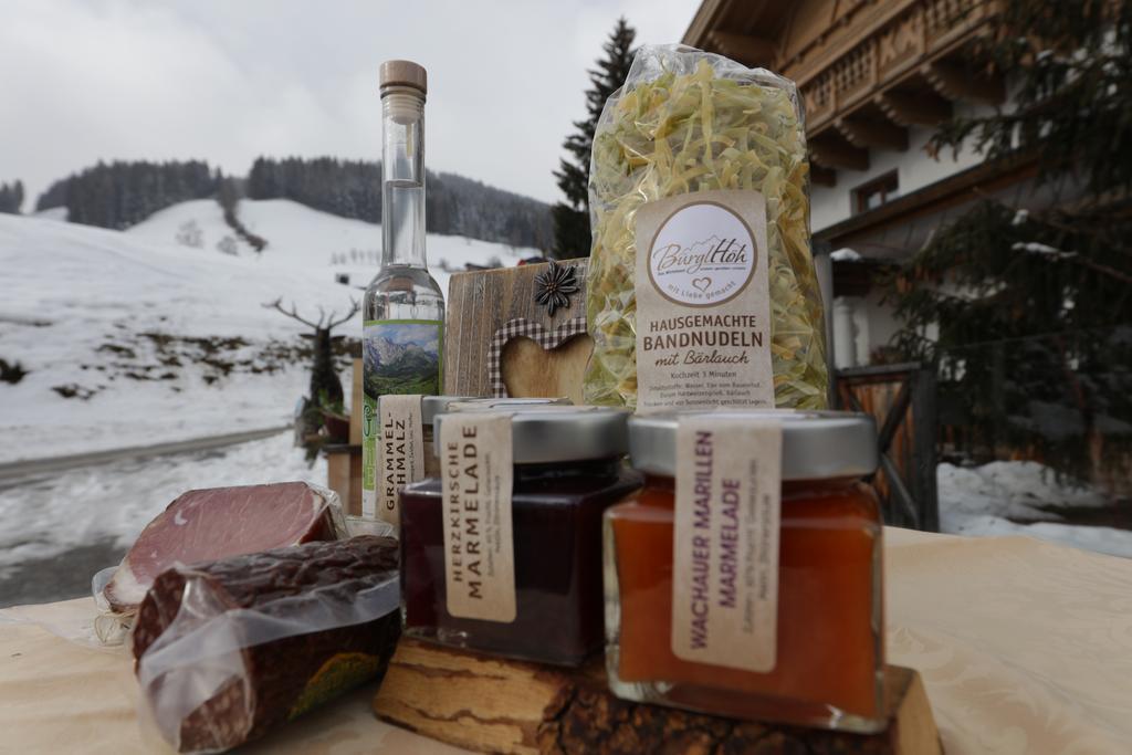 Hotel Und Alpen Apartments Mit Sauna - Buerglhoeh Bischofshofen Extérieur photo